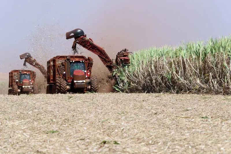 Agronegócio de São Paulo movimenta R$ 657,6 bilhões e representa 18,9% do PIB estadual